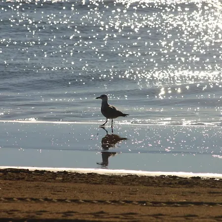 Prázdninový areál Bella Italia Sport Village