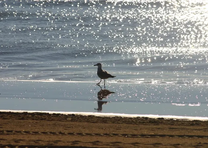 Kompleks wypoczynkowy Bella Italia Sport Village